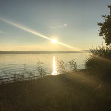 Umwelt und Energie
