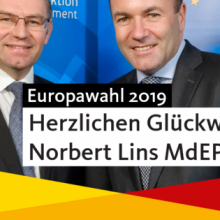 Norbert Lins erneut im Europäischen Parlament