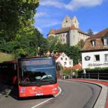 Seelinie wird ÖPNV-Rückgrat