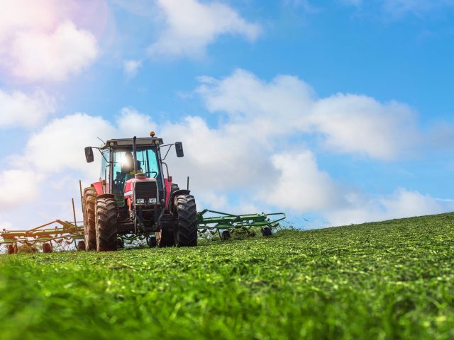 Ländlicher Raum & Landwirtschaft