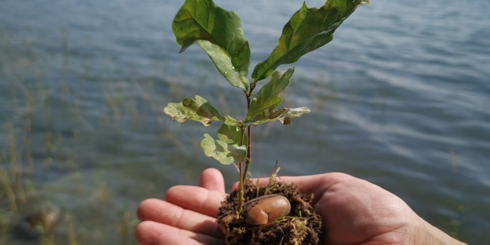 Beitrag der CDU Kreistagsfraktion<br> zum Klimaschutz