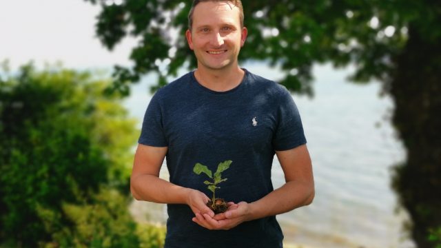 Wald nachverdichten – CO² binden