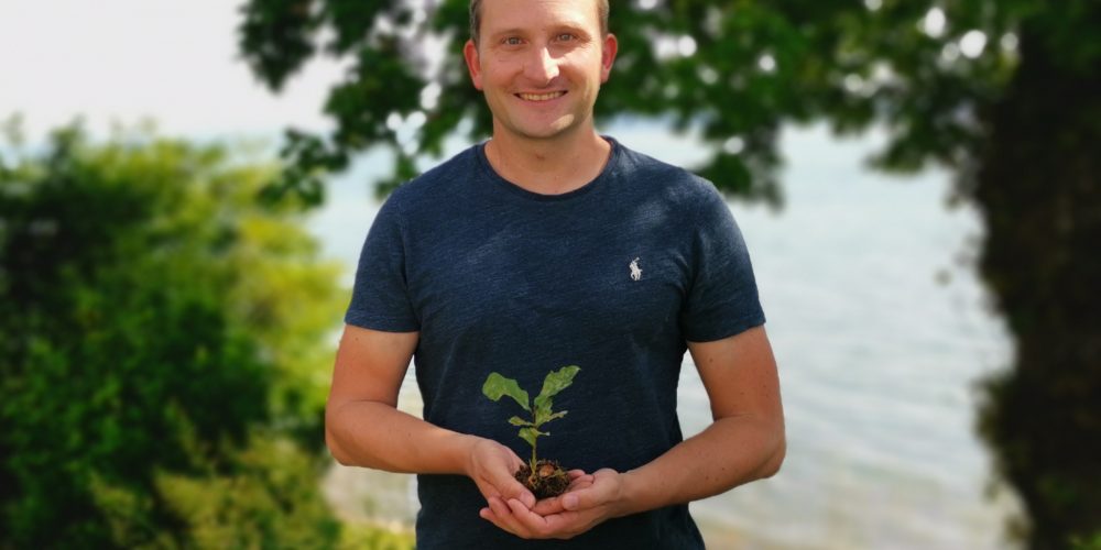 Wald nachverdichten, CO² binden