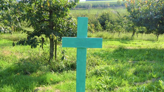 Unterstützung für die „Grünen Kreuze“