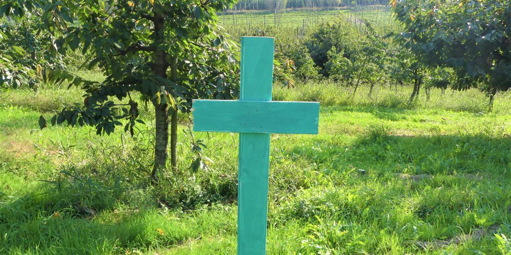 Unterstützung für die „grünen Kreuze“